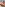 Big Tits Round Asses 52 Image