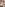 Naughty Coeds 2 Image
