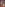 Sodomania 20: For Members Only Image