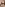 Seed Swallowers Image