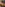 Trans Lesbian Fetish Games 2 Image