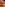 Sloppy Little Cocksuckers Image