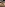 Filthy Anal Pleasures Image