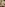 Making Cougars Cum Image