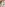 Shaved Asians - 6 Hours Image