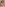 XXL Phat Black Backs Image