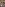 Family Dick 12 Image