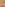 Golden Boy-Girls Image
