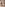 Sexual Predator #2 Image