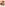 Facesitters In Heat Volume 19 Image