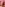 Taboo 18 - The Kinky Bunch #12 Image