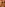 Mr. Skin's Real Blow Job Scenes Image