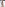Tushy Raw V20 Image