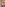 Cocoa Creampies Image