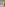 New Trans Roommates Have First Creampie Encounter Image