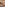 Gianna Michaels & Joe Laughlin Suck Titty-Fuck Facial Collector's ROM Image