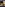 Creampied Amateurs Image