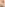 Massage Hookups Image