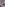 Beautiful Teen - Angelique's First Time Video Image