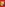 Peitsche, Wachs & Mehr Image