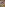 Family Dick 27 Image