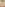Anal Addicts 7 - Czech Please! Image