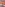 Triple Penetration Debutante Sluts Four Image