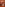 Lusty Neighbors Image