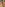 Amateur Show Offs #3 Image