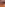 Amateur Madness #6 Image