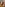 Fucking Fat Cock Image