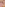 Booblicious Viewers' Wives Image