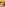 The John Holmes Classic Collection Volume One - Treasure Box Image