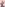 Miss WWW America - Party Girls Vol. 1 (029502988852) Image