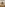 Playtime Nudes Presents: Ariana Grand Teen Jerk Off Encouragement Image