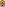 Dirty Debutantes Volume 204 Image