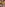 Horny German Wives! Vol. 3 Image