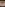 I Only Want Anal Image
