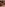 Mouth Cum & Swallow Image