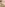 Resurrection of Eve Image