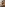 Tad Pole Creampies Numi Zarah Image