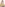Latina Trans Model Leticia Moraes Toys Ass and Strokes Image