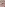Pranked, Fucked, Looking Straight Into The Camera. Image