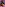 First Time Fan Fuck FT: Alex Kane Image