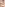 Housekeeper With A Three Month Waiting List, Member Only Caregiver Image