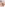 Johnny Rapid: For the Fans Vol. 6 Image