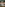 Having Sex Forever Image