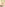 Slutty Girls Image