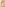 Cum Load King Image