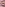 ChickPass Amateurs Series 2 Volume 20 Image